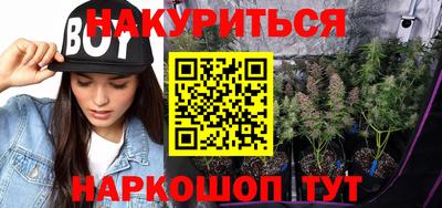 шишки Северобайкальск