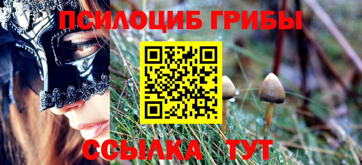 Псилоцибиновые грибы мухоморы Осинники