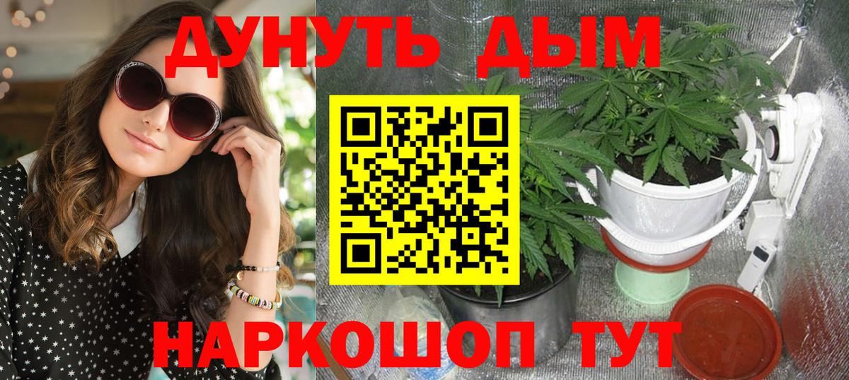 Бошки марихуана сатива  Каннабис индика  Каннабис Bruce Banner  Вход с VPN  Осинники  Марихуана White Widow 